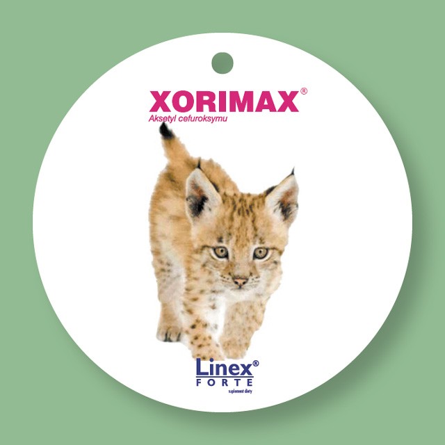 zawieszki zapachowe - Xorimax